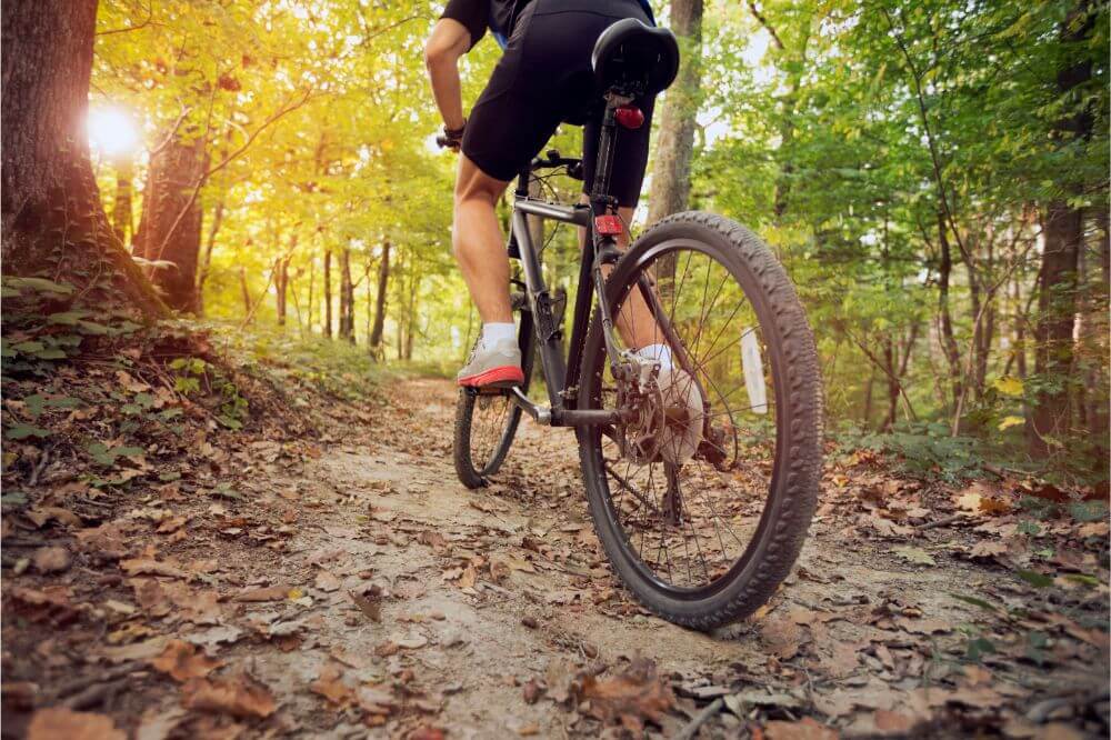 What is a Hardtail Mountain Bike